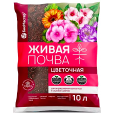 Грунт 
